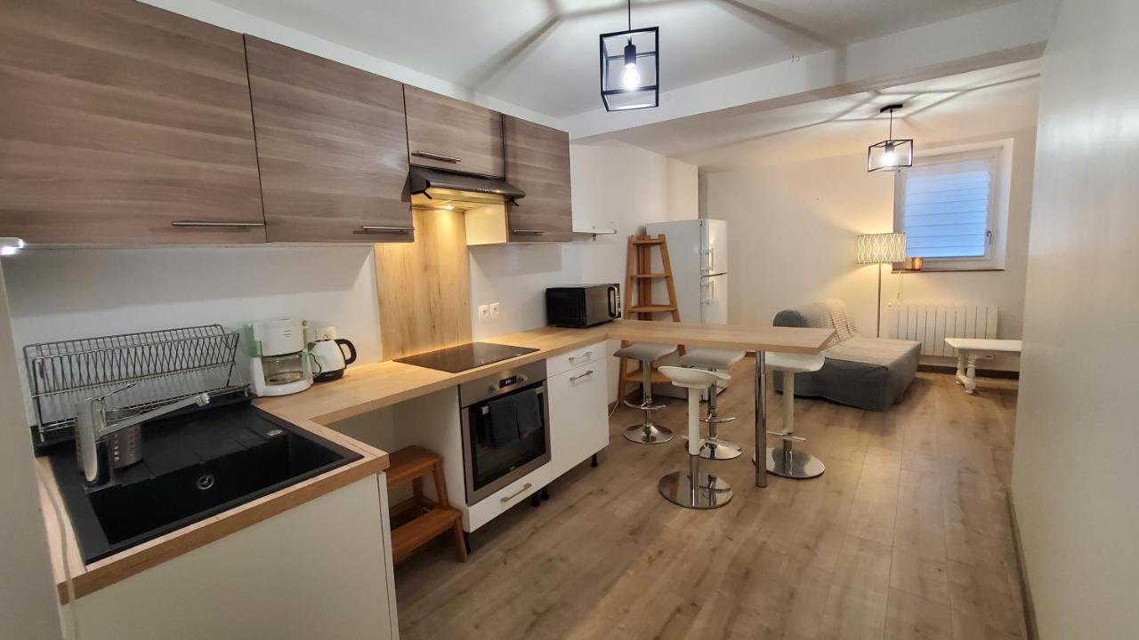 L'Ecrin De Saint Genest Lerpt - Belle Vue Et Calme Apartamento Exterior foto