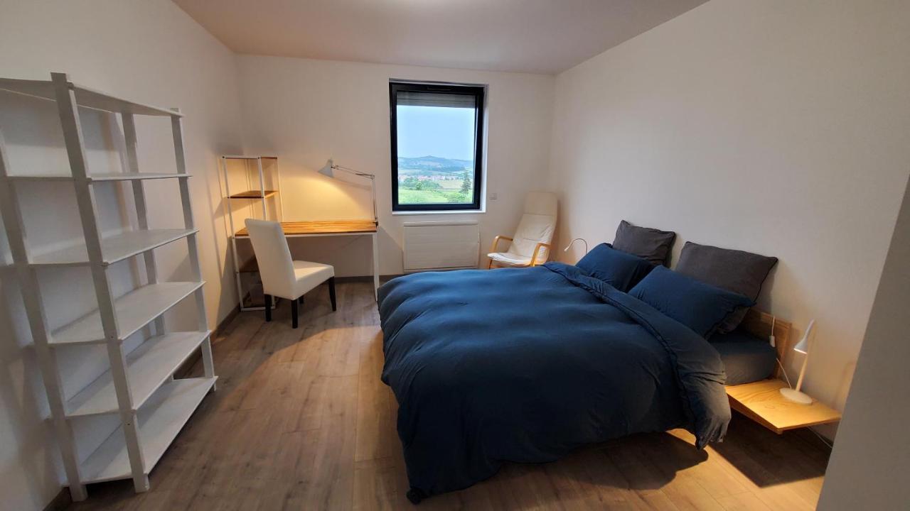 L'Ecrin De Saint Genest Lerpt - Belle Vue Et Calme Apartamento Exterior foto