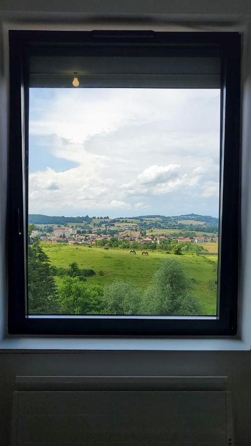 L'Ecrin De Saint Genest Lerpt - Belle Vue Et Calme Apartamento Exterior foto