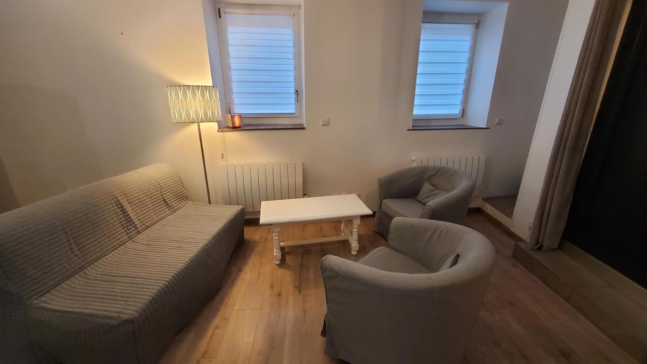 L'Ecrin De Saint Genest Lerpt - Belle Vue Et Calme Apartamento Exterior foto
